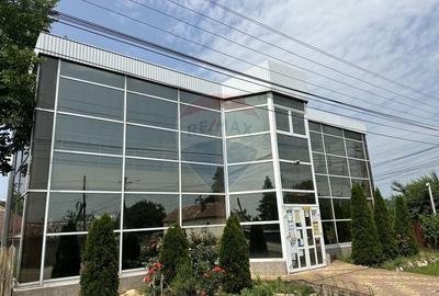 Spatiu comercial de 270mp de inchiriat - 7