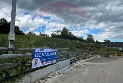 Teren Construcții intravilan de 4397 mp, în Mănăstirea Humorului - 12