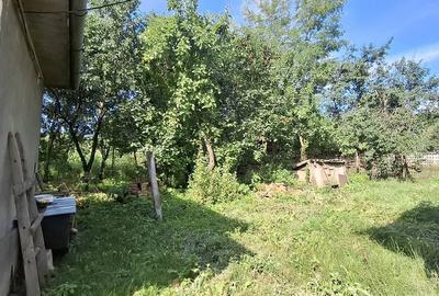 Casă cu Teren 2400 Mp în Mănăștur - 8