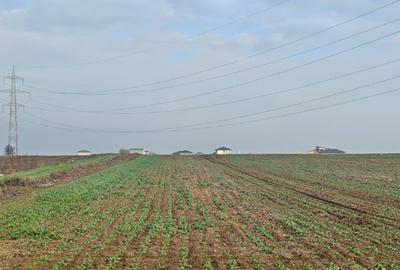 Teren Construcții extravilan de 37000 mp, în Vidra - 1