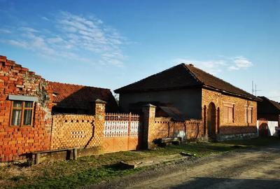 Casă cu 3 camere în Făget - 6