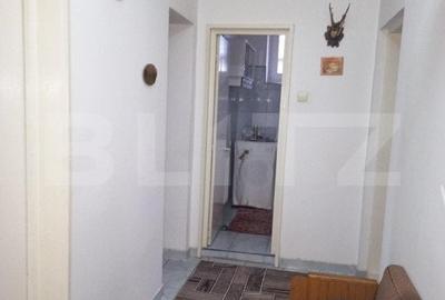 Casa individuala, 372 mp, 1339 mp teren, pretabila business, zona Scheia - 8