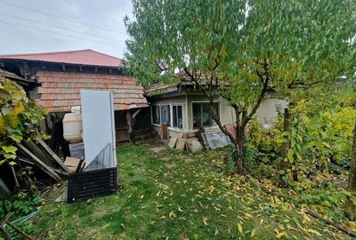 Casa +Teren1300mp[livada+vie] Sat Izvoru Giurgiu - 3