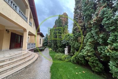 Casă individuală cu 12 camere cu Piscina în Bariera Vâlcii - 14