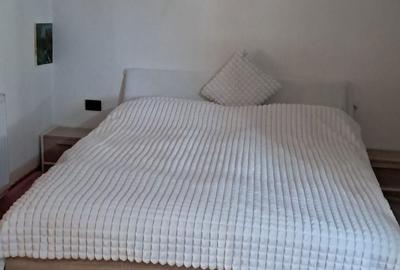 Casă cu 4 camere în Uiasca - 7