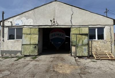 Hala-depozit de vanzare-800 mp-Sic- Investitie - 3