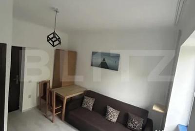 Garsonieră decomandată în Gruia - 3