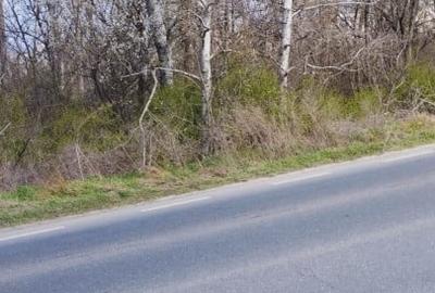 Teren intravilan 5.000 m² cu 40 m deschidere la DN2A – langa Kaufland Slobozia - 2