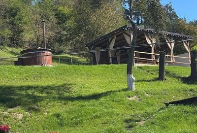 De vanzare pensiune in Com Tasca, Teren 3800 mp, toate utilitatile, 204.990 euro - 4