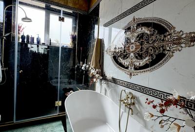 Vanzare vila Gradina Icoanei - Dacia - curte, casa de oaspeti - 10