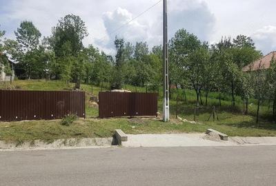 Casă cu 4 camere cu Teren 10700 Mp în Obârșia