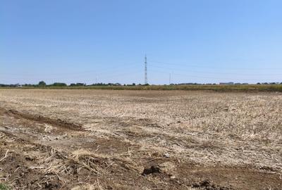 Teren 410 mp - Utilitati - Strada Asfaltata - Rate - Vidra - 6