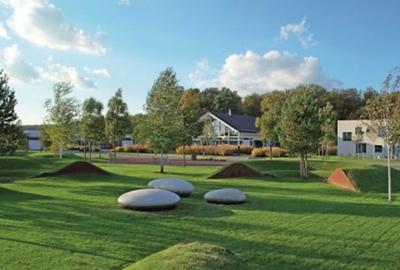 Teren de vis în Dumbrava Vlăsiei – 1290 mp, la marginea pădurii mature - 1