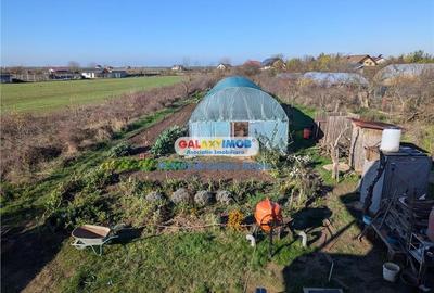 Adunatii Copaceni vila P+1 ,5 camere,suprafata 165 mp, teren 1300 mp - 8