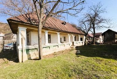 Casă cu Teren 1490 Mp în Proaspeți - 5