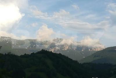 Teren de 9428 mp, în Bran - 2