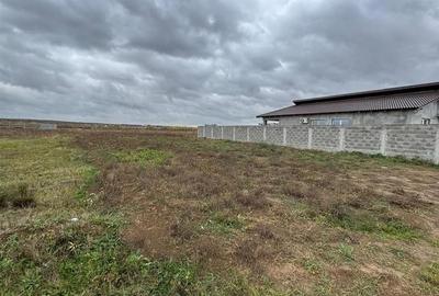 Teren intravilan de 500 mp, în Cihei - 4