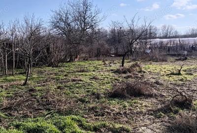 Teren intravilan + casa batraneasca - 6