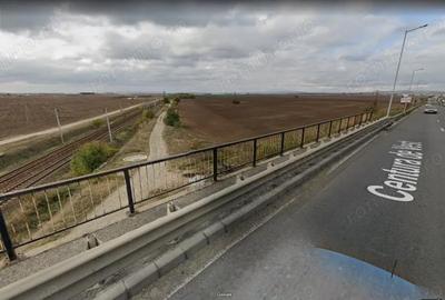 Teren de 65000 mp, în Vest - 2