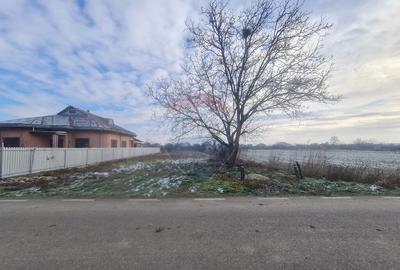 Teren de 1564 mp, în Gologanu