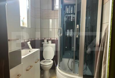 Casa de vzanzare, 240 mp, Zona Botizului - 33