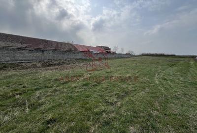 Teren de 2450 mp, în Bucovăț - 3