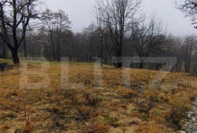 Teren intravilan zona deosebita in Zarnesti Teren intravilan zona deosebita in Zarnesti - 13