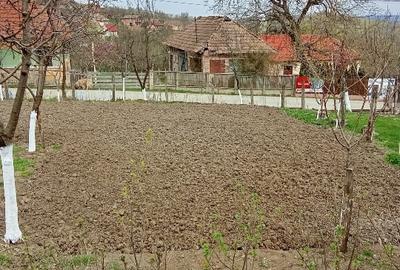Casă individuală cu 2 camere cu Teren 2000 Mp în Ciglean - 8