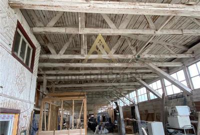 Spațiu comercial, de 3,000 mp, în Agăș - 6