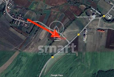 Spațiu comercial, în Petrești - 6