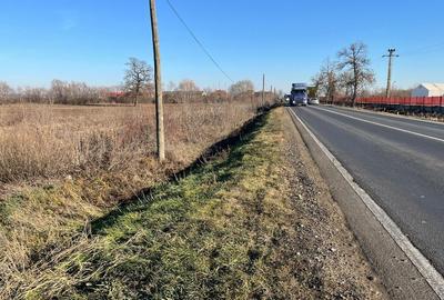 Teren intravilan, Sacadat, 27 921 mp. 9,5 Euro/mp. Comi... - 7