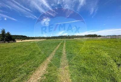 Teren partial intravilan 30,930 mp Poiana Stampei-DN E58, Suceava - 12