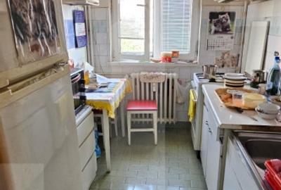 Apartament cu 3 camere, 61 mp, Teiul Doamnei-Aleea Otesani - 12