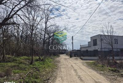 Spațiu comercial, în Balotești