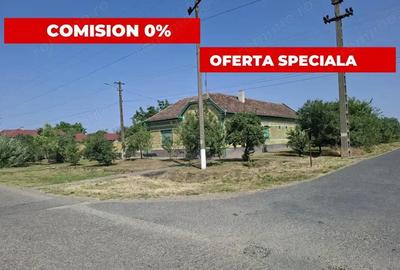 CASA MARE in Nadlac cu teren generos 2095mp - 5