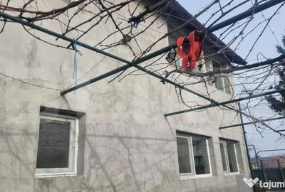 Casă cu 3 camere cu Teren 950 Mp în Mănești - 4