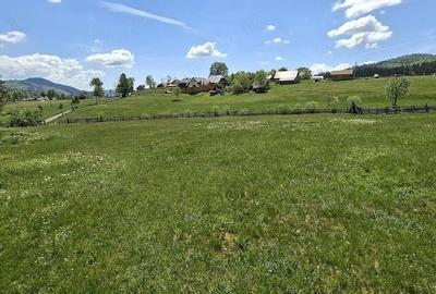 Teren de 6924 mp, în Arieșeni - 6