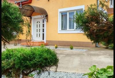 Vilă cu 7 camere, 3 băi, P+M, garaj, terasă, 1130 mp teren, Sântandrei, Bihor. - 14