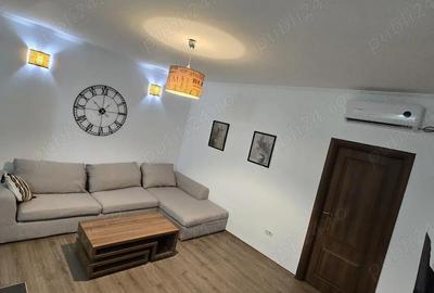Apartament cu 2 camere semidecomandat în Dumbrăvița - 2