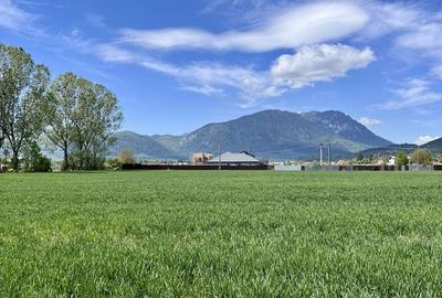 Spațiu comercial, în Tohanu Nou - 4