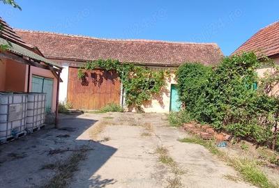 Casă cu 4 camere cu Teren 3000 Mp în Alioș - 2