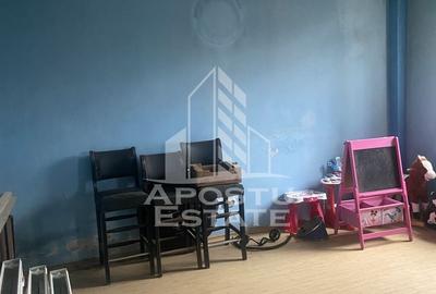 Casa unifamiliala în Timișoara,cu spațiul comercial - 13