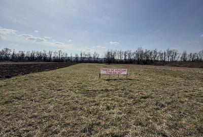 Teren de 6000 mp, în Bizușa-Băi - 2