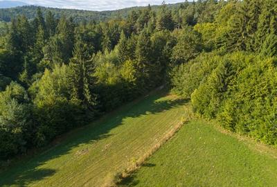 Teren intravilan 3300mp- Vulcan Brasov langa Lac si padure - zona turistica - 9