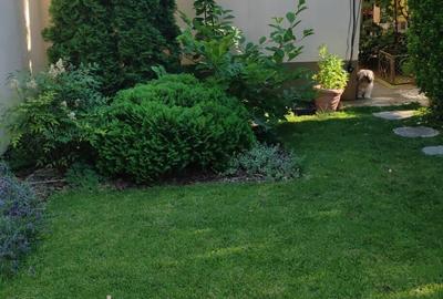 Casă individuală cu 2 camere cu Teren 800 Mp în Fratelia - 2