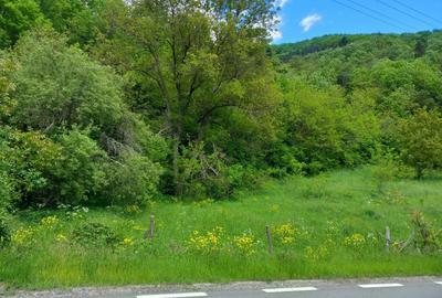 Teren de 1907 mp, în Lungești - 3