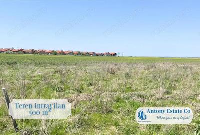 Teren intravilan de vanzare Paleu - 2