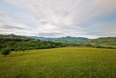 Teren de 4394 mp, în Bârsău - 1