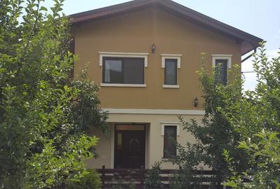 Casa unifamiliala Malu Cu Flori, Dambovita - 1