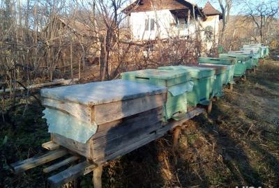 Casă cu 4 camere cu Teren 2000 Mp în Bujoreni - 6